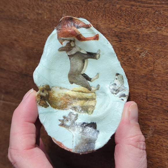 Decorative Shells - Picture 5 of 9